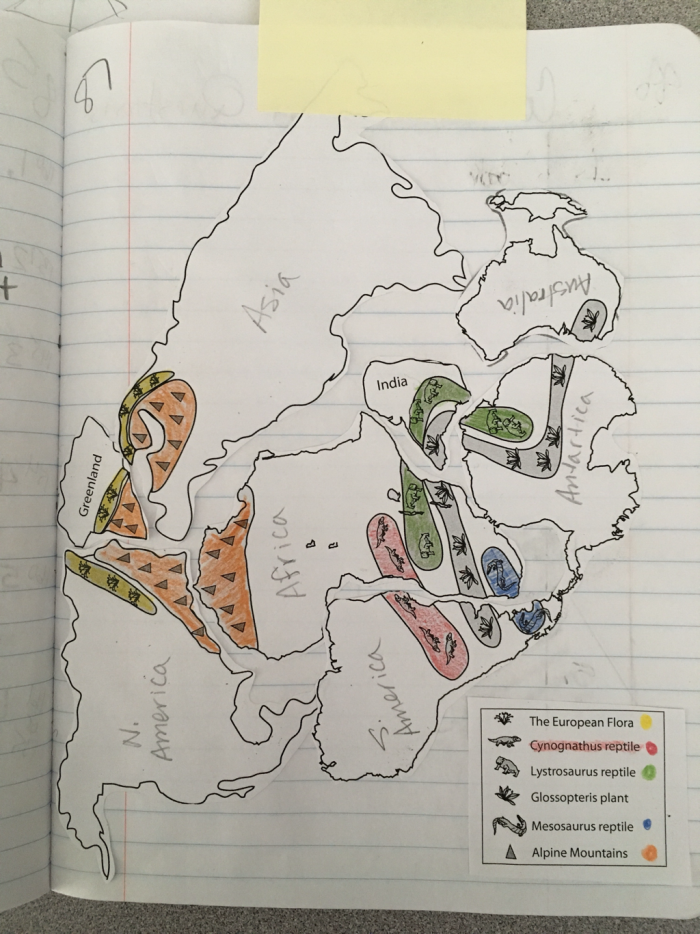 Educational resource illustrating the theory of Pangea and its significance in geology Pangea worksheet designed for Earth and Space Science students to explore continental formation