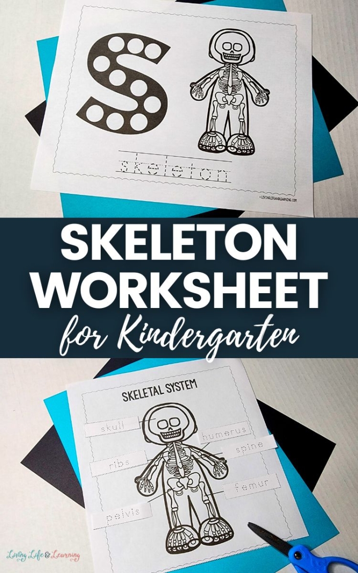Fourth grade student assembling a paper skeleton activity sheet