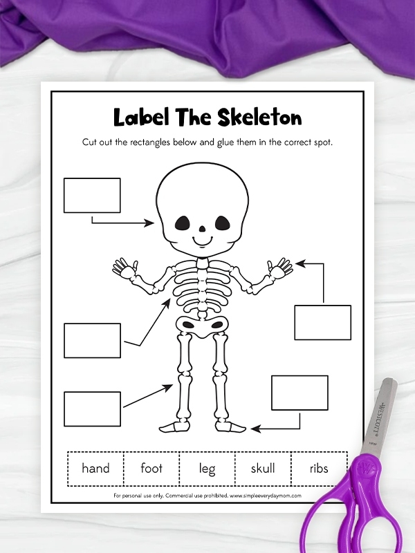 A fourth grader assembling a paper skeleton craft project by cutting and gluing skeleton bones together