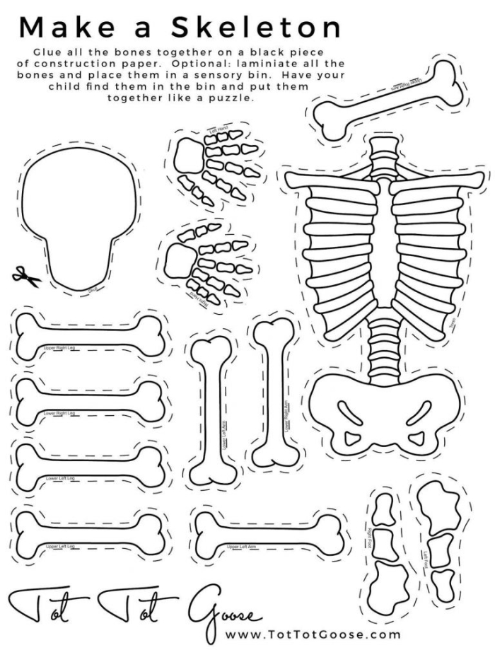 Paper Skeleton worksheet featuring numbered bones for fourth grade fraction practice