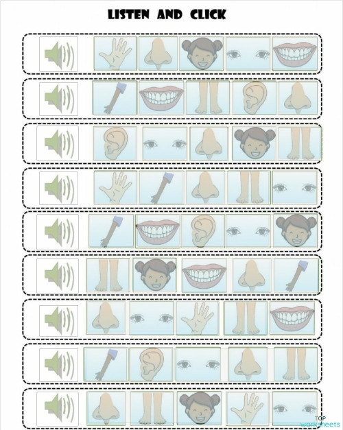 Educational illustration of basic body anatomy with Spanish labels designed to help elementary students practice body part vocabulary and correct pronunciation Fourth grade Spanish worksheet showing labeled diagrams of human body parts with vocabulary words and pronunciation guide for learning partes del cuerpo