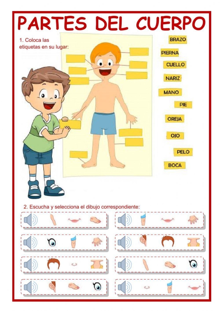 Educational Spanish body parts practice activity for fourth grade students Fourth grade Spanish worksheet for learning and spelling basic human body parts