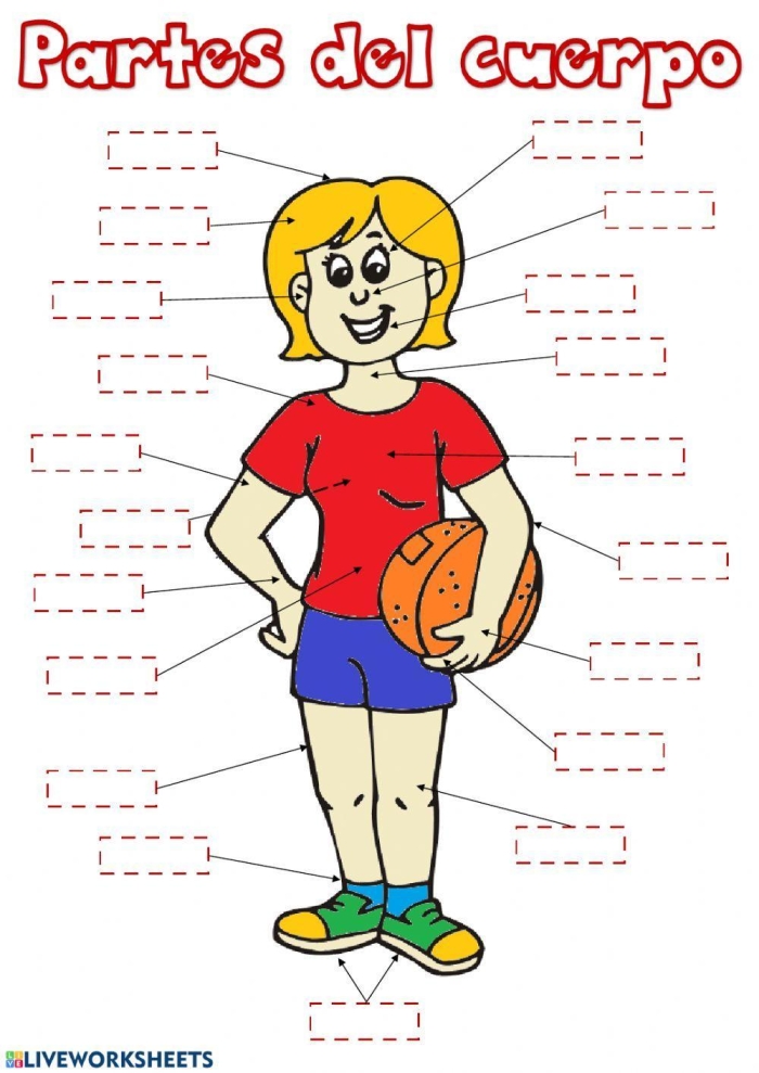 Partes del Cuerpo Practice Sheet 21 - Body Parts Vocabulary for Elementary Spanish Learners Fourth grade Spanish worksheet showing labeled diagrams of human body parts with vocabulary exercises for learning anatomical terms in Spanish