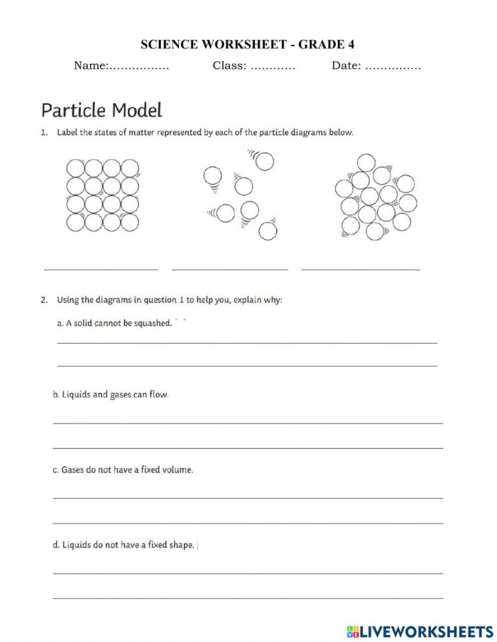 Sixth grade students examining particle diagrams to classify different states of matter and their molecular structures