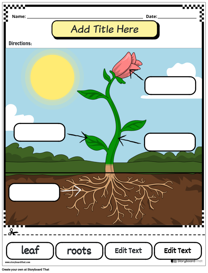 Worksheet illustrating the parts of a plant with a word scramble activity for first graders