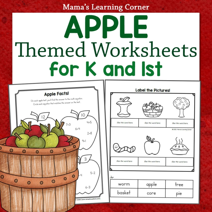 Educational worksheet on apple anatomy for young learners Diagram illustrating the parts of an apple for second graders