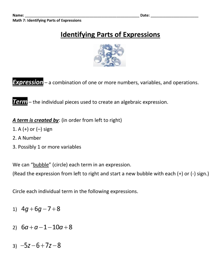Sixth grade math worksheet for identifying and labeling parts of an algebraic expression