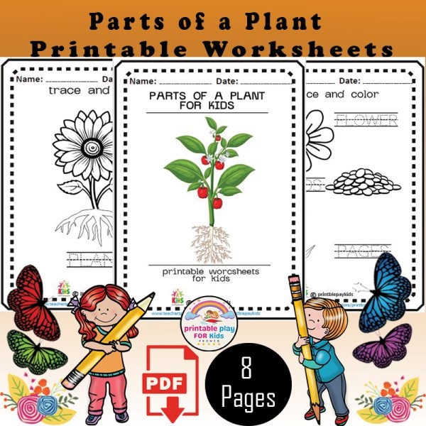 First grade worksheet featuring a word scramble about parts of a plant