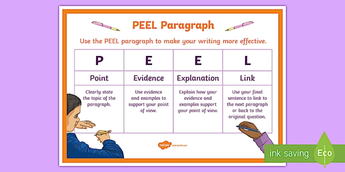 Fifth grade student PEEL paragraph graphic organizer worksheet for reading comprehension