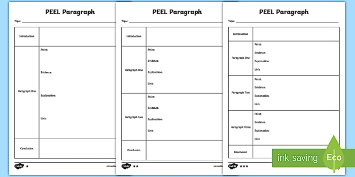 PEEL paragraph graphic organizer template for fifth grade students to plan point evidence explanation and link statements