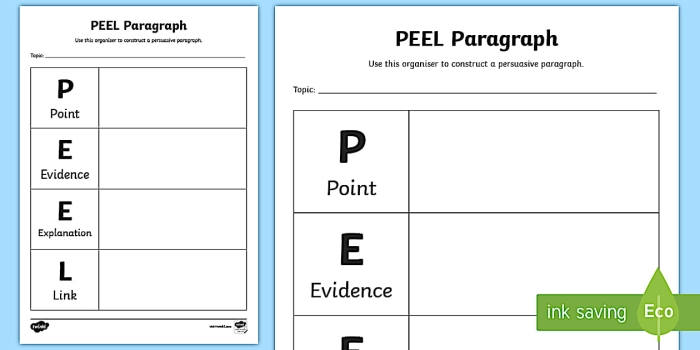 PEEL paragraph graphic organizer template for fifth grade students to plan point evidence explanation and link in their writing