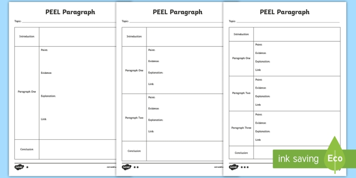 Fifth grade student PEEL paragraph graphic organizer worksheet for reading comprehension