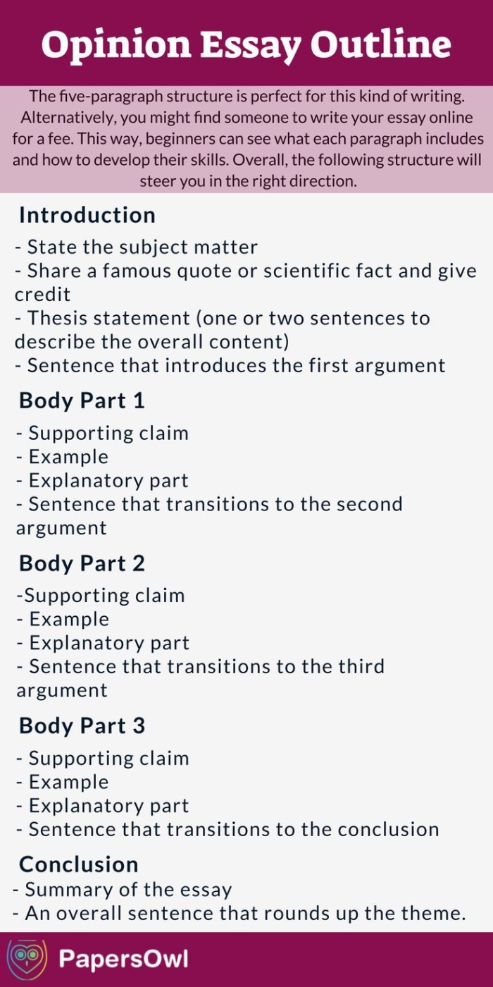 Opinion Essay Structure Activity for Elementary Writing Practice Fourth grade students organizing persuasive essay outline with mixed up sections to reorder and arrange
