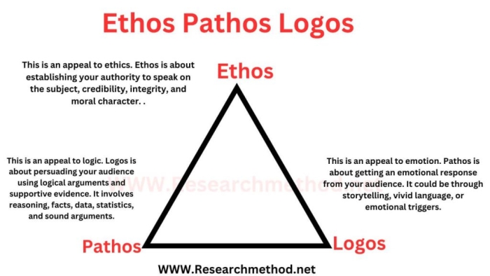 Creative worksheet activity where middle school learners develop convincing arguments for their decorated rock mascot designs Seventh grade students creating persuasive pet rock mascot designs using ethos pathos and logos rhetorical appeals