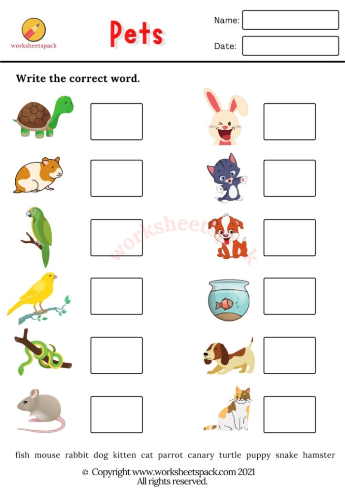 Second grade reading worksheet featuring a story about Pete and his collection of pets