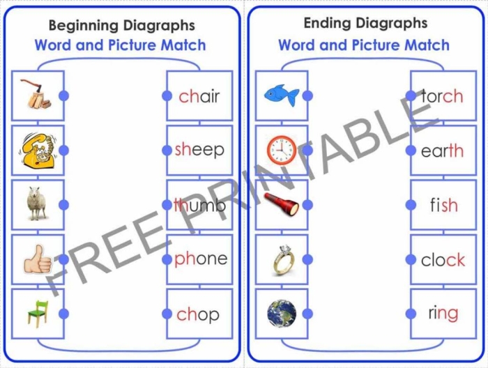 Engaging phonics worksheet to enhance word pattern recognition skills Phonics Practice worksheet focusing on blends and digraphs for first graders