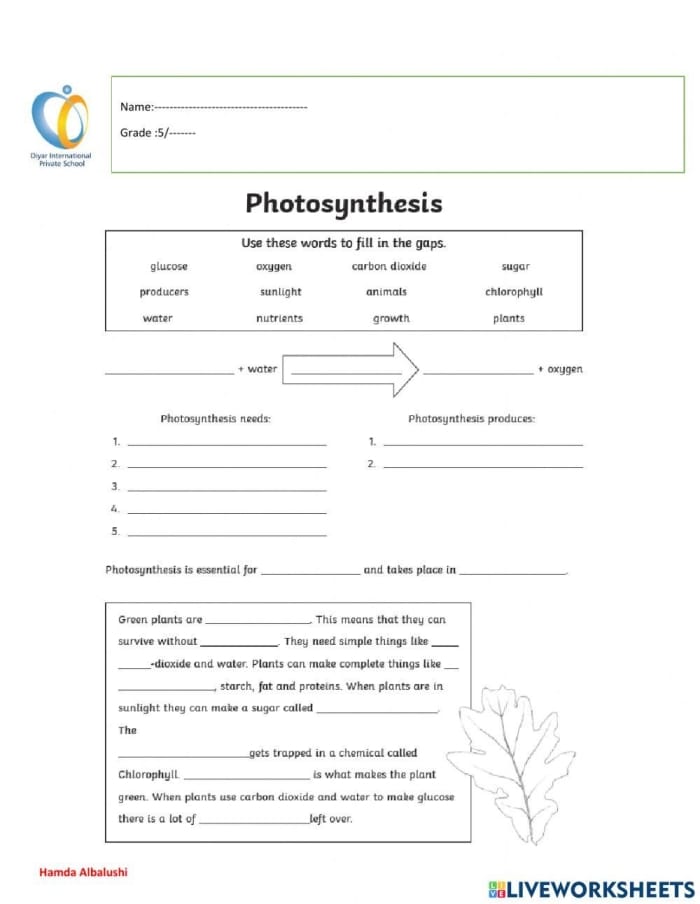 Worksheet for second graders on the topic of photosynthesis with fill-in-the-blanks activities