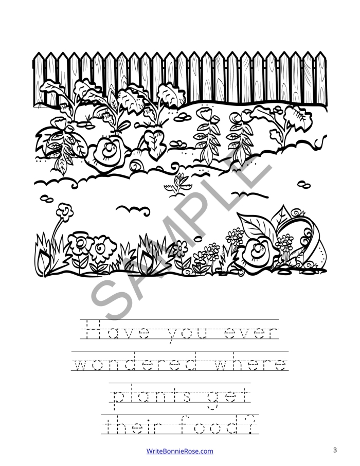 Coloring page worksheet illustrating the process of photosynthesis for first graders