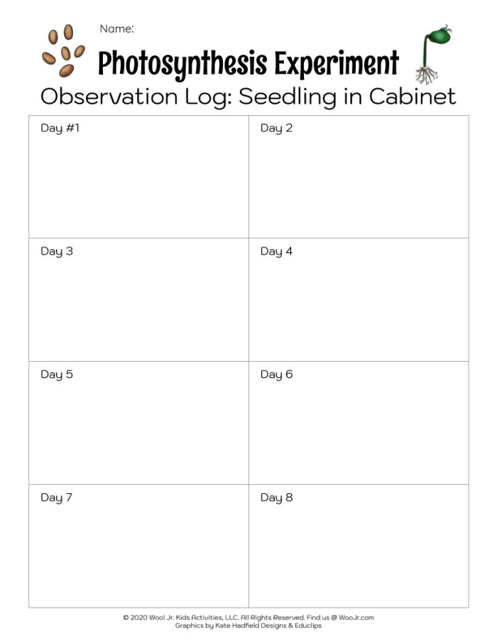 Photosynthesis for Kids worksheet science activity for 1st grade level 16 First grade student coloring a diagram about how plants create energy from sunlight