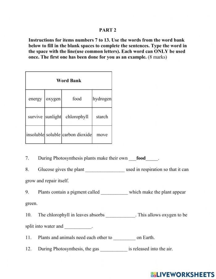 Fifth grade photosynthesis fill-in-the-blank worksheet for life science review 11
