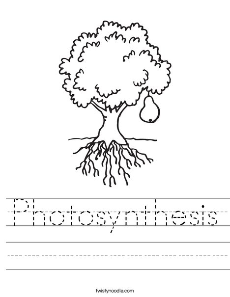 Educational resource for teaching kids about how plants make their food Colorful worksheet illustrating photosynthesis concepts for first graders