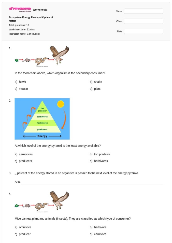 Photosynthesis worksheet for sixth graders focusing on matter and energy cycling
