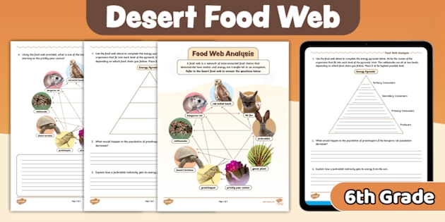 Sixth grade science worksheet covering photosynthesis matter cycling and energy flow