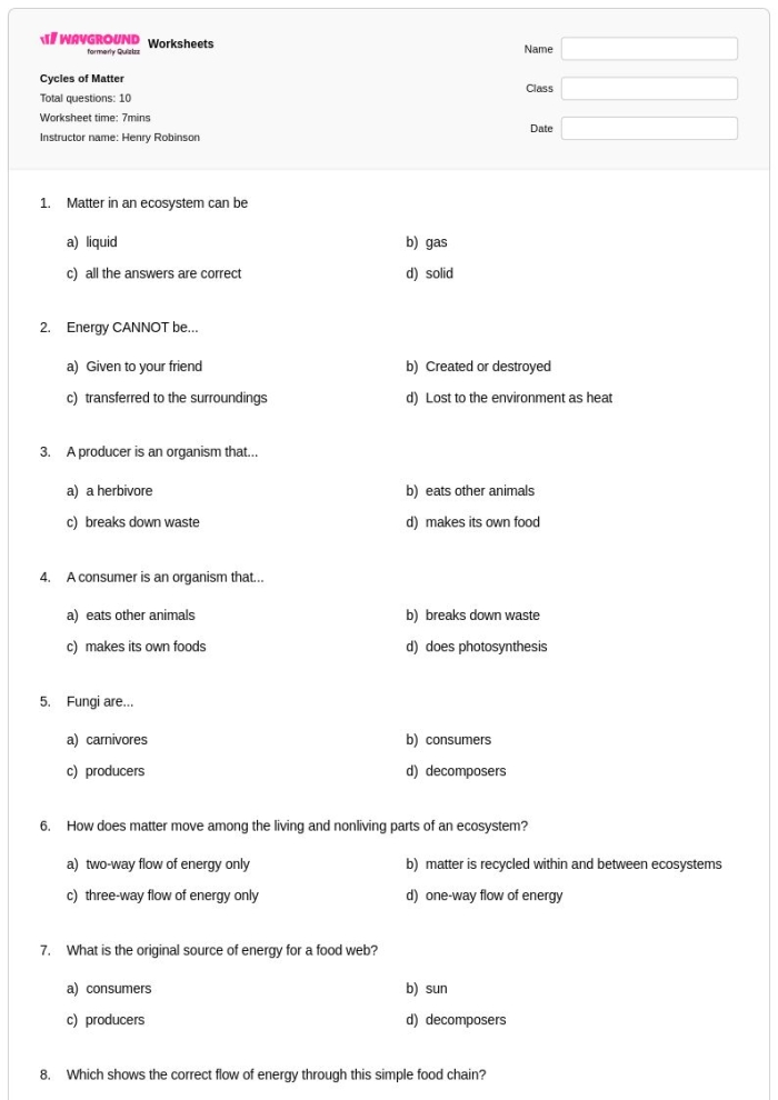 Sixth grade science worksheet covering photosynthesis matter cycling and energy flow concept 12