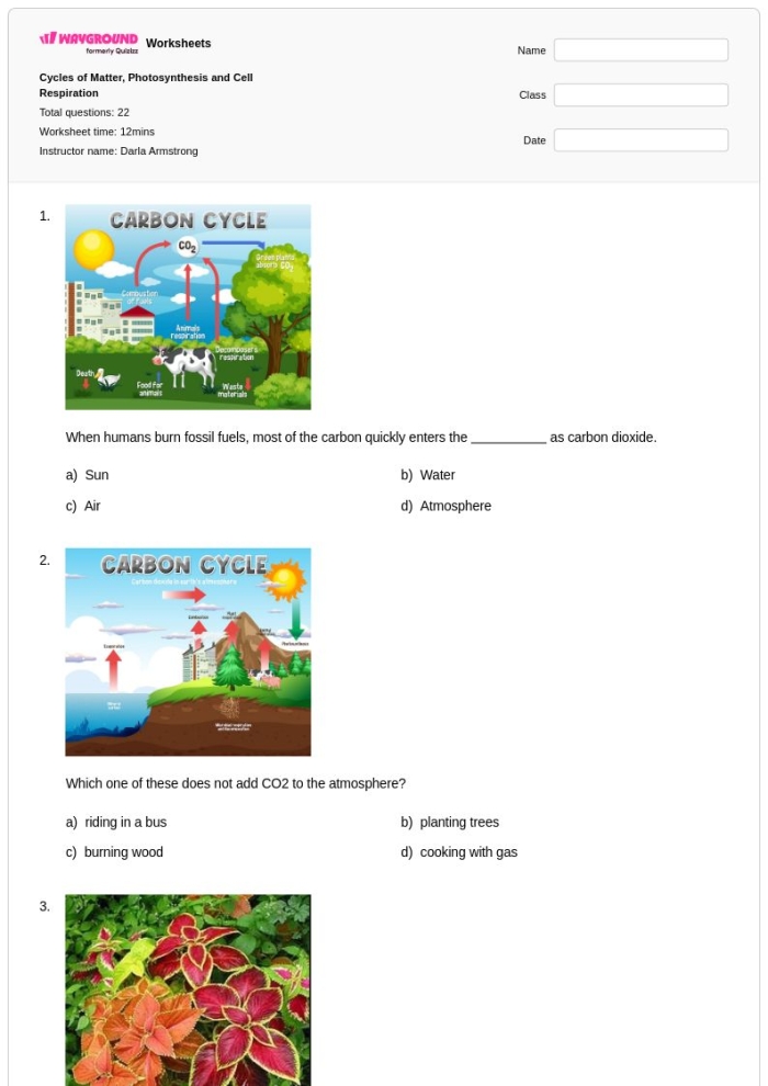 Photosynthesis worksheet for sixth graders focusing on matter cycling and energy flow
