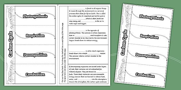 Photosynthesis worksheet for sixth graders exploring the cycling of matter and energy