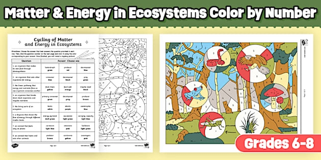 Worksheet illustrating photosynthesis and the cycling of matter and energy for sixth graders