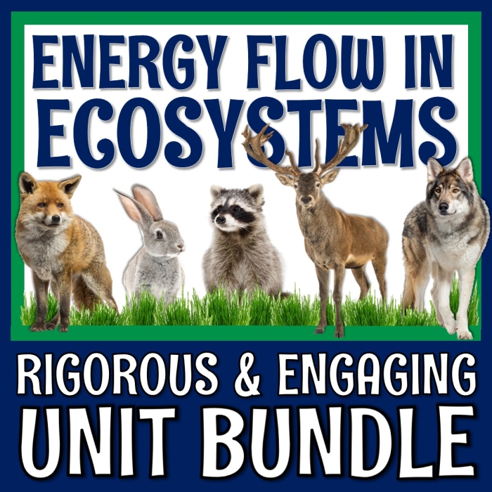 Worksheet on photosynthesis illustrating the cycling of matter and energy for sixth graders