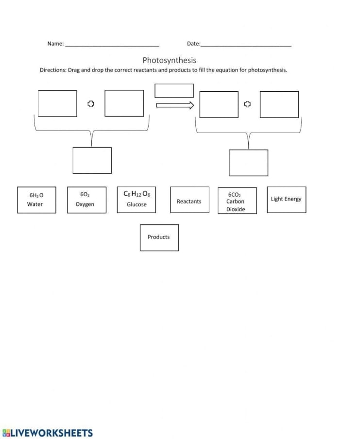 Fill-in-the-blanks worksheet for second graders on the topic of photosynthesis