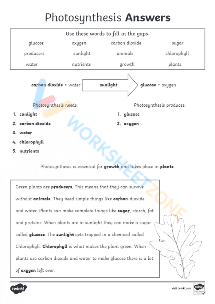 Worksheet for second graders explaining the concept of photosynthesis with fill-in-the-blank activities