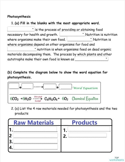 Second grade science worksheet explaining the photosynthesis process with fill in the blanks