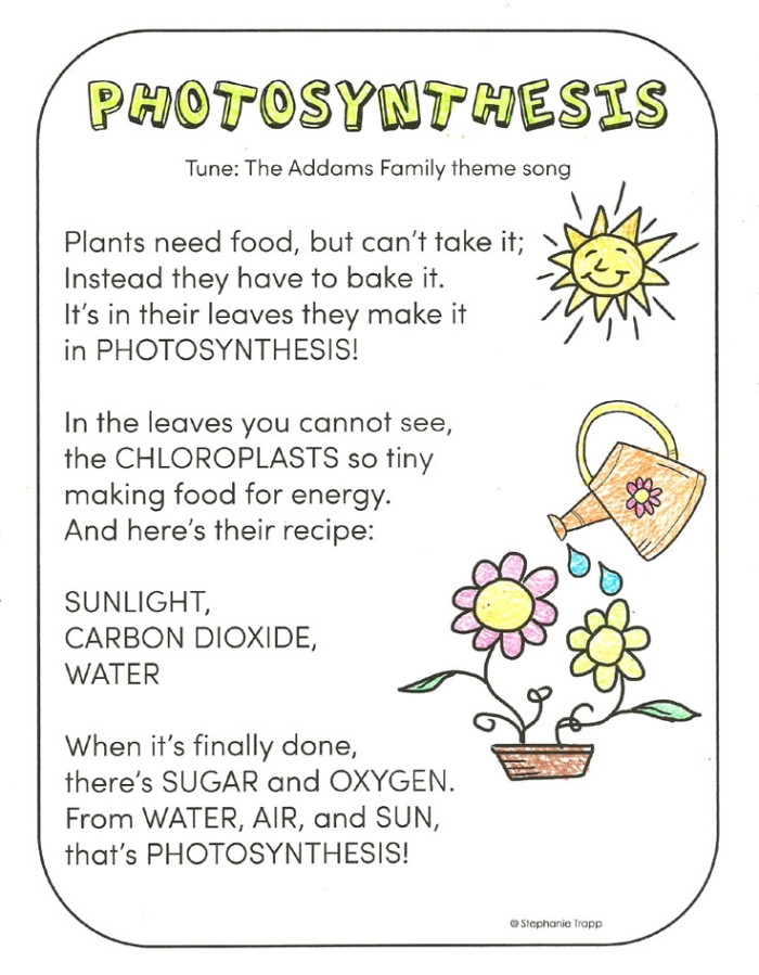 Photosynthesis for Kids Learning Activity 23 First grade science worksheet about how plants create energy through photosynthesis