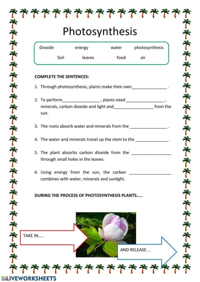 Second grade science worksheet about how plants use sunlight for photosynthesis with fill-in-the-blank questions