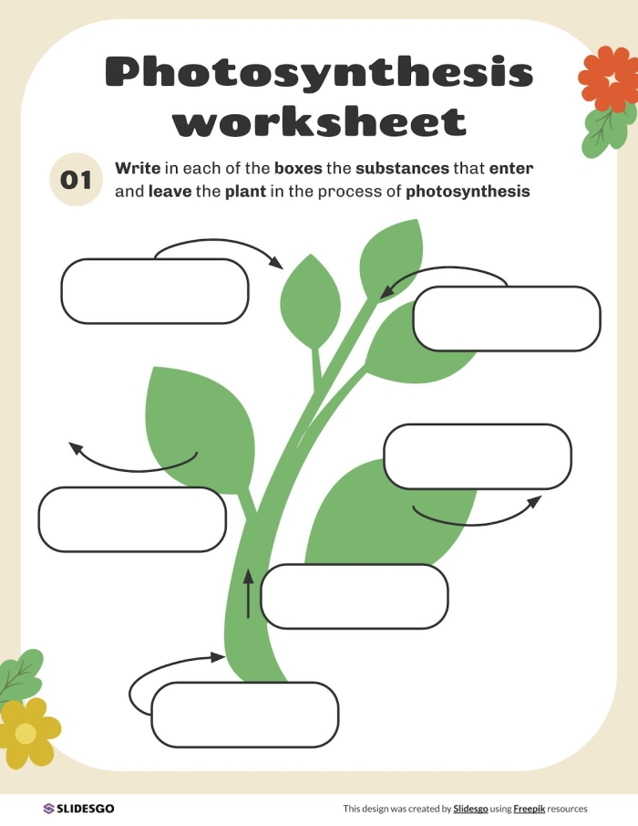 First grade student coloring a simple diagram of photosynthesis for a math multiplication worksheet 23