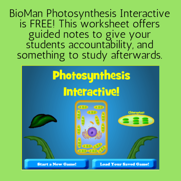 Fifth grade photosynthesis fill-in-the-blank worksheet with a word bank for life science study