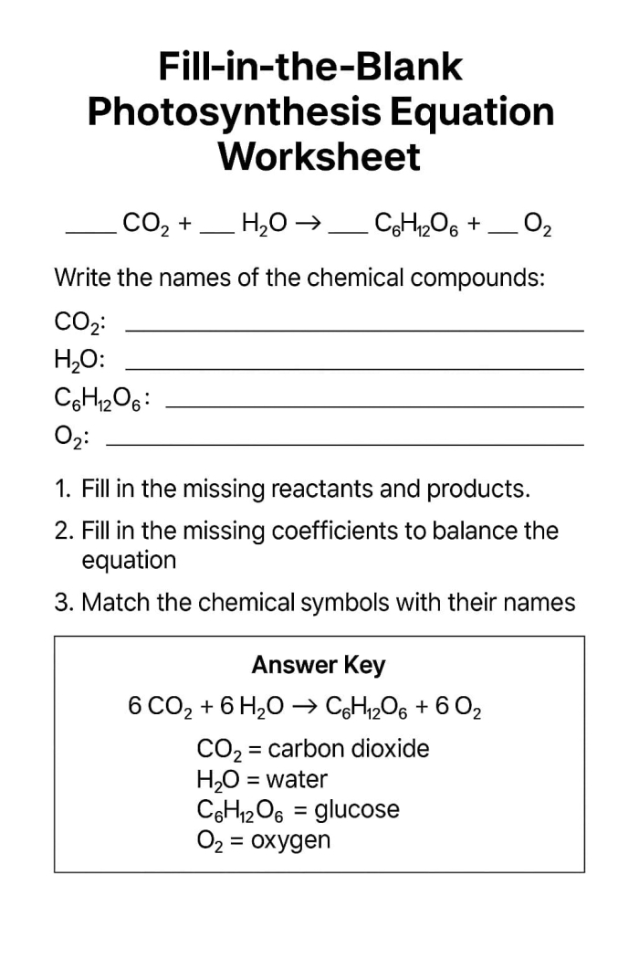 Fifth grade science student completing a photosynthesis fill-in-the-blank worksheet exercise