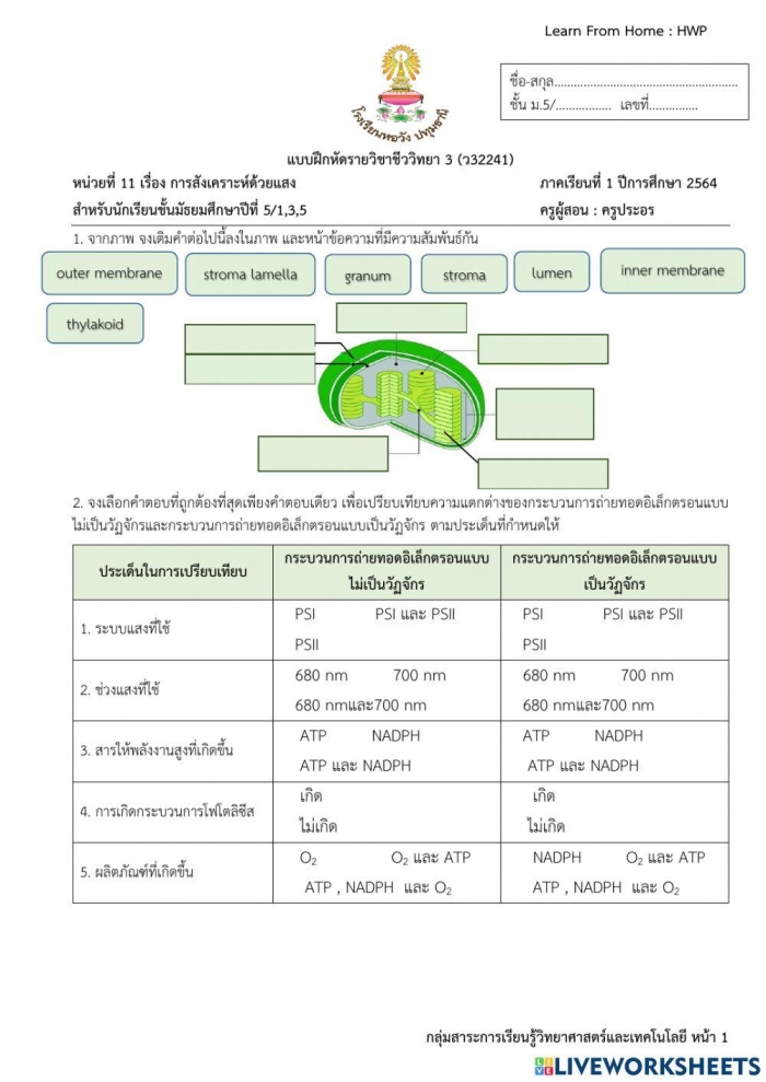 Fifth grade student completing a photosynthesis fill-in-the-blank life science worksheet