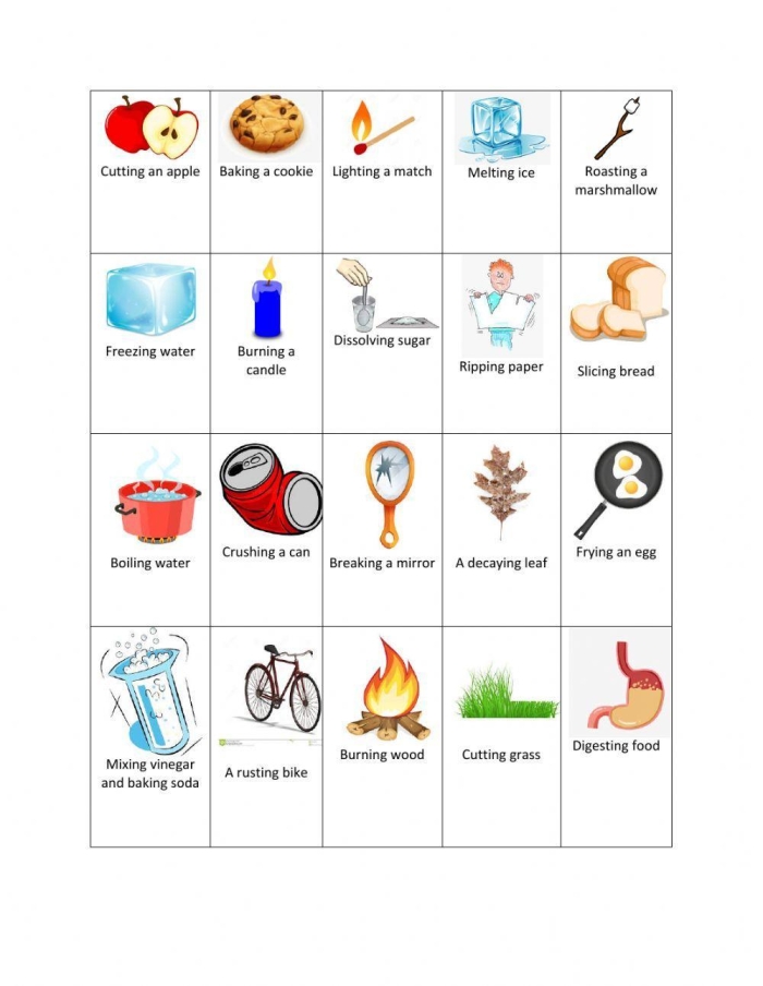 Physical vs Chemical Change Science Worksheet for Grade 4 Fourth grade science worksheet comparing physical and chemical changes with matter experiments