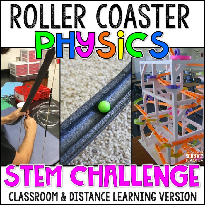 Eighth grade physical science worksheet featuring a nonfiction passage about the physics behind roller coasters