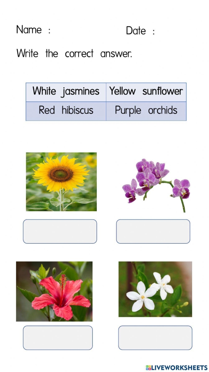 Pick a Flower Pictograph worksheet for Second Grade