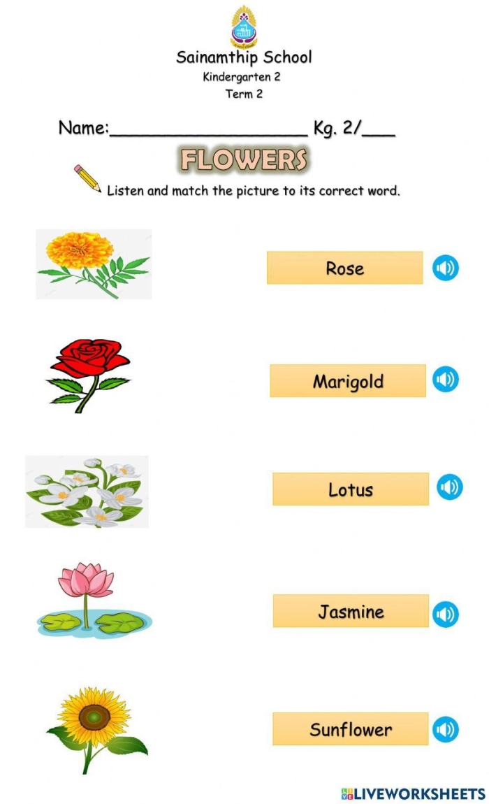 Pick a Flower Pictograph worksheet for Second Grade