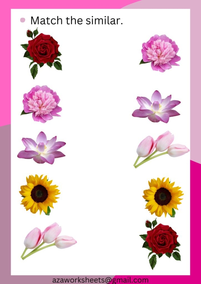 Pick a Flower Pictograph worksheet for Second Grade