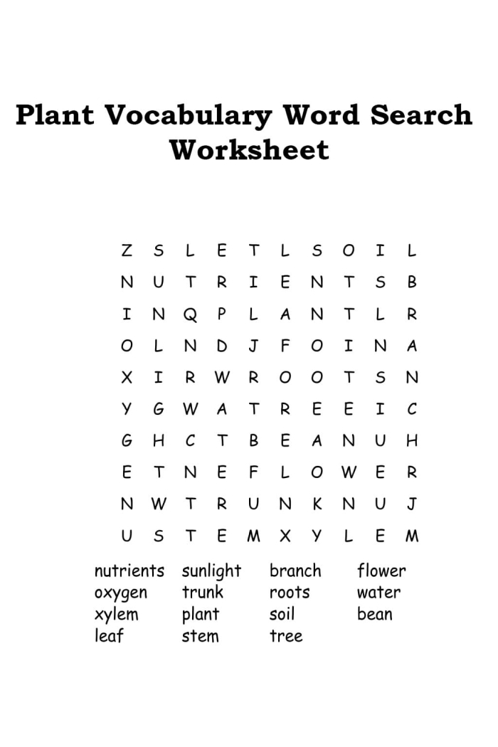 Plant Vocabulary Worksheet Number Ten Identifying Plant Parts Fourth grade science worksheet focused on essential plant anatomy and vocabulary