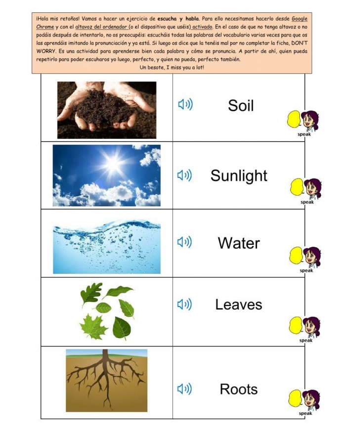 Plant Parts Vocabulary Review Worksheet for Grade 4 Number 13 Fourth grade science worksheet focused on essential plant anatomy and vocabulary terms