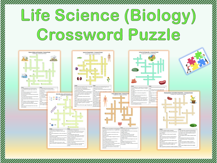 A child completing a life science crossword puzzle about plant and animal cell vocabulary words