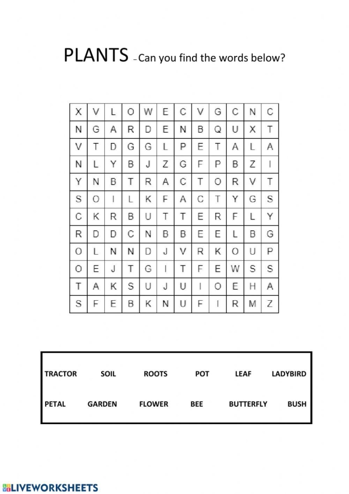 Fourth grade students completing a science activity about plant biology